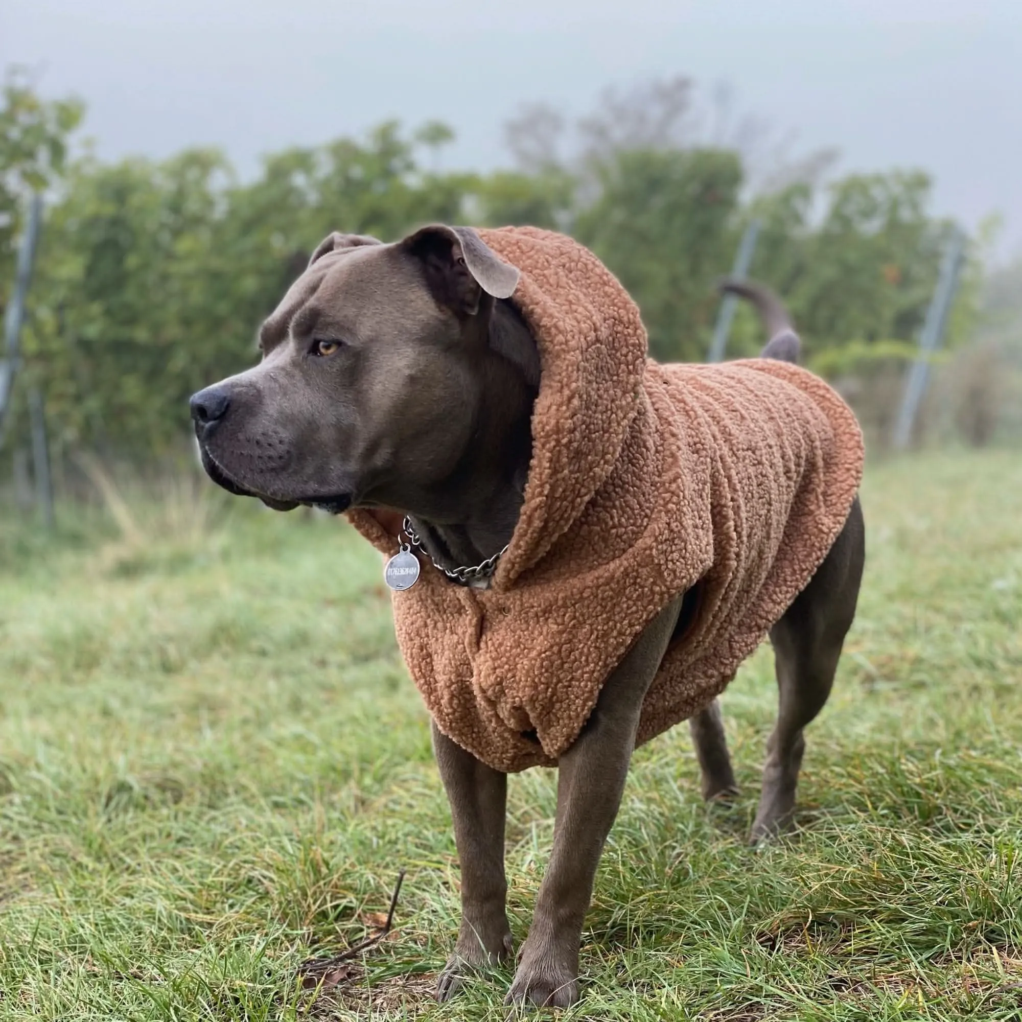 Teddy Sherpa Fleece Dog Jacket - Brown